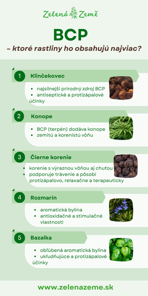 BCP infografika